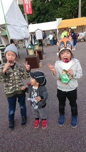 阿波の狸まつり