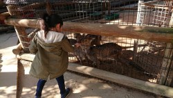 しろとり動物園