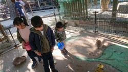 しろとり動物園