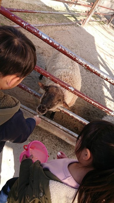 しろとり動物園