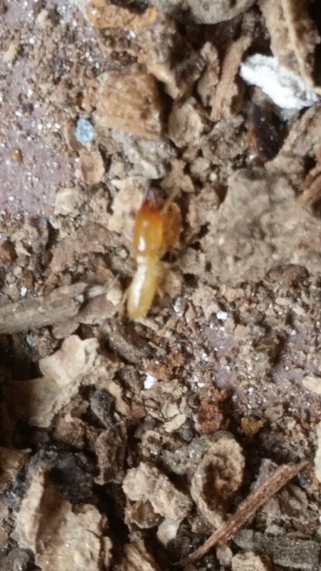 松茂 Y様邸リフォーム工事
