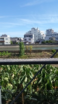 今日の空