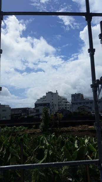 台風19.20号の影響