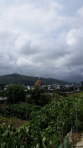 台風19.20号の影響