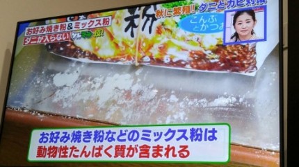 ダニ対策でペットボトルで蓋