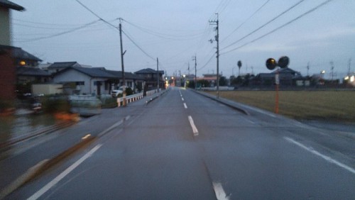 雨が降ってきました