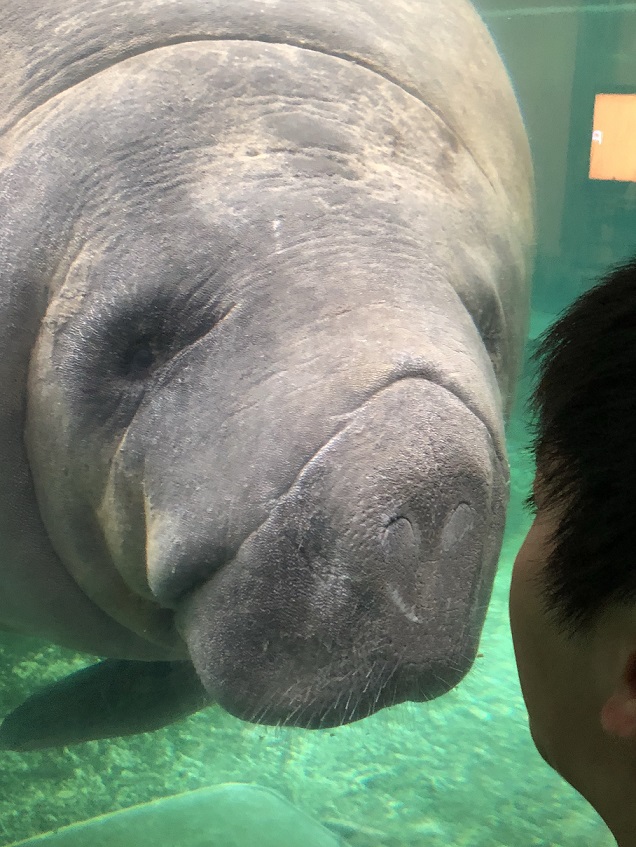 水族館