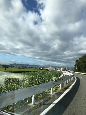 今日の空模様