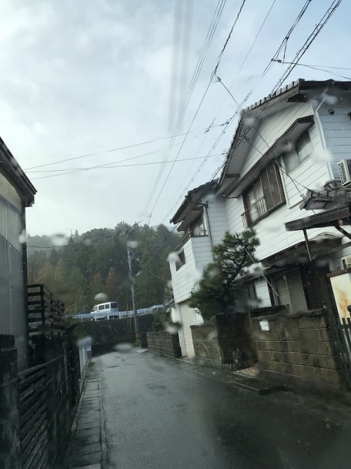 雨が降ってきた～