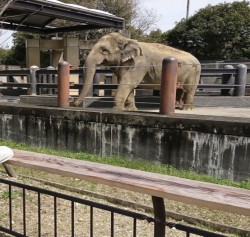 徳島動物園